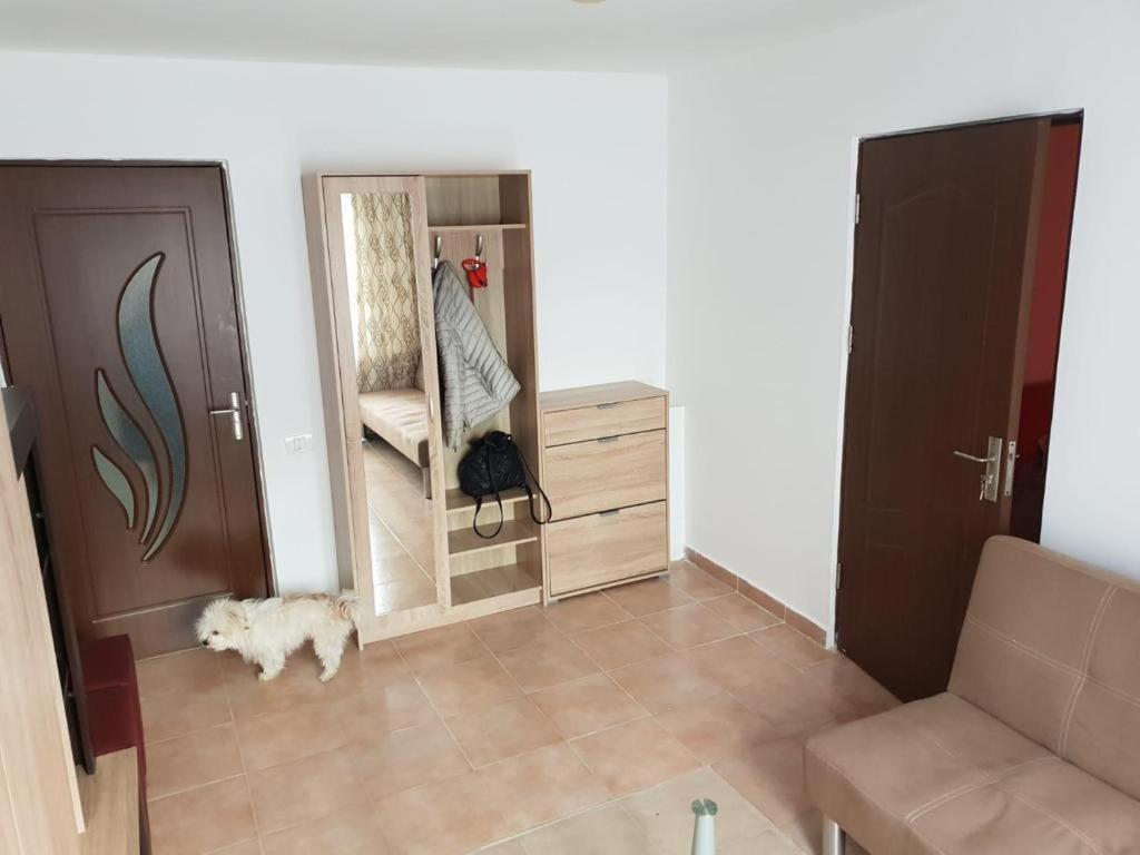 Apartament 2 Camere Tomis Nord Konstanca Zewnętrze zdjęcie